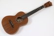 画像2: Martin　T1 Uke FSC テナーサイズ (2)