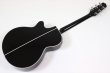 画像5: Takamine　FPT161C BL (5)