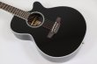 画像8: Takamine　FPT161C BL (8)