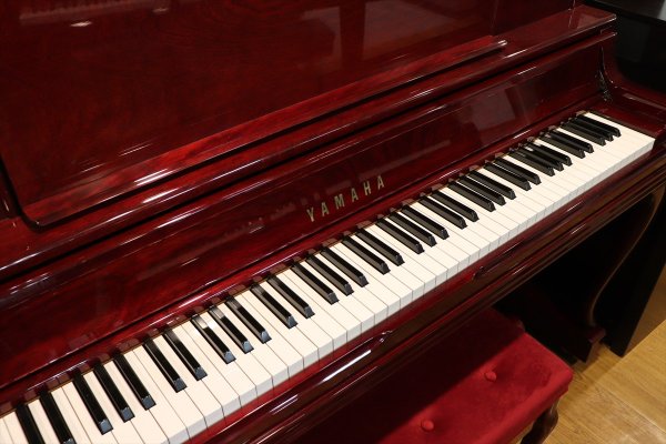 画像3: 【送料別・代引不可】YAMAHA　WX3A BiC (中古) (3)