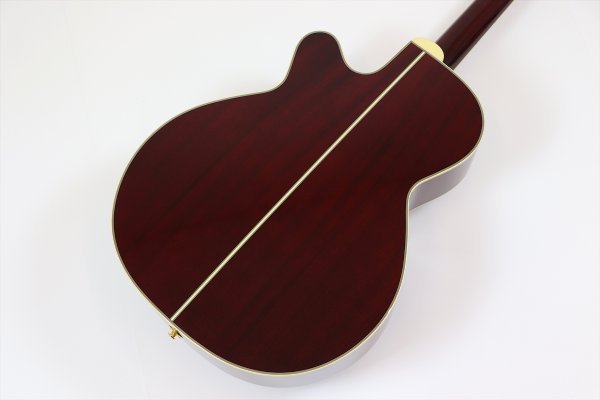 画像6: Takamine DMP551C WR (6)