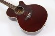 画像8: Takamine DMP551C WR (8)