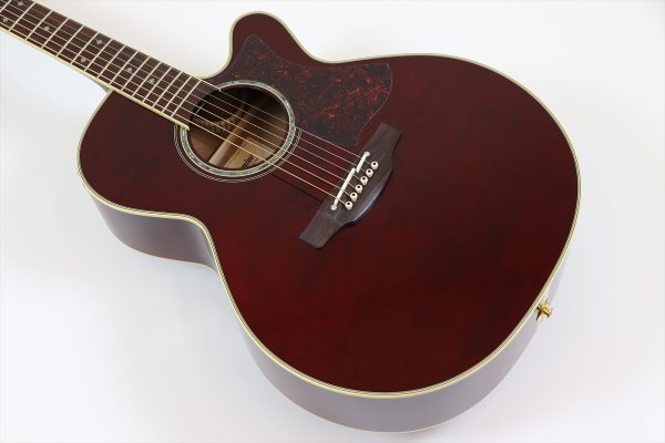 画像8: Takamine DMP551C WR (8)