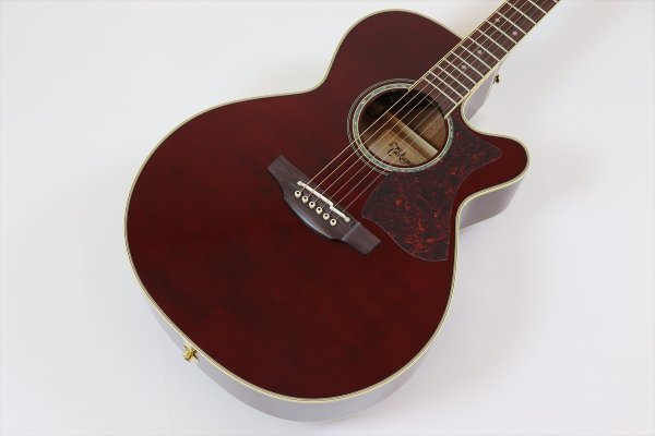 画像3: Takamine DMP551C WR (3)
