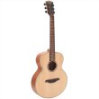 画像2: Bromo Guitars　APPALACHIA SERIES BAA8S (2)