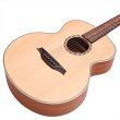 画像4: Bromo Guitars　APPALACHIA SERIES BAA8S (4)