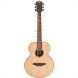 画像1: Bromo Guitars　APPALACHIA SERIES BAA8S (1)
