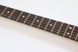 画像9: Fender　American Professional Classic Jaguar Faded Firemist Gold (9)