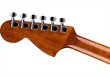 画像5: Fender　California Standard Monterey E Natural Sapele (5)