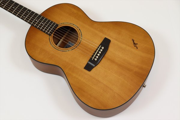 画像8: K.yairi RF-65E Lite (8)