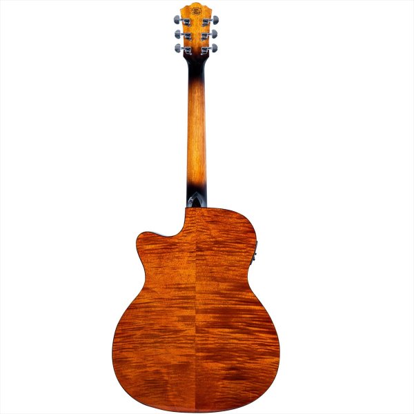 画像3: Washburn Guitars　WCG10CE (3)