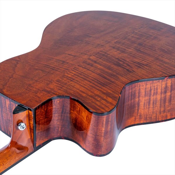 画像5: Washburn Guitars　WCG12FCE (5)