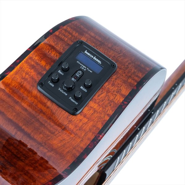 画像8: Washburn Guitars　WCG12FCE (8)