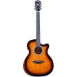 画像1: Washburn Guitars　WCG10CE (1)