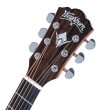 画像9: Washburn Guitars　WCG12FCE (9)