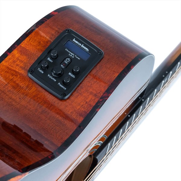 画像8: Washburn Guitars　WCG10CE (8)