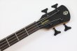 画像4: Spector　NS Pulse 4 II Black Stain Matte 【新品アウトレット】 (4)