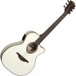 画像2: LAG Guitars　 Tramontane T118ASCE-IVO Auditorium slim Cutaway Acoustic-Electric Ivory (2)