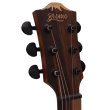 画像6: Bromo Guitars　BAT8ME BK (6)