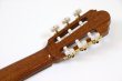 画像7: KODAIRA（小平ギター）　クラシックギター AST-85L (弦長 630mm) (7)