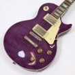画像1: FERNANDES (Burny)　LSD-80N STP 【新品：メーカー保証なし】 (1)
