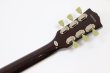 画像7: FERNANDES (Burny)　LSD-80N STP 【新品：メーカー保証なし】 (7)