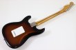 画像5: Fender　Vintera II '50s Stratocaster 2-Color Sunburst (5)