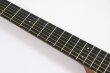 画像6: Martin　Backpacker Steel String (6)