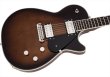 画像4: Gretsch　Electromatic Premier Jet, Ebony Fingerboard, Robusto Burst (4)