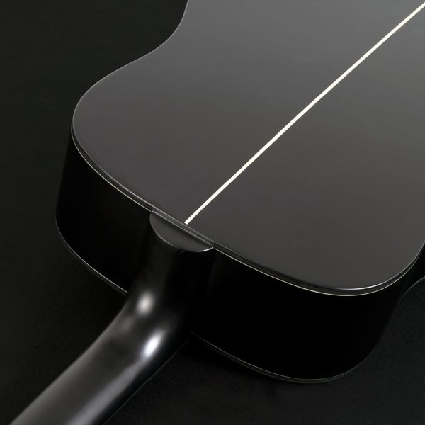 画像3: Washburn Guitars　EBONY D (3)
