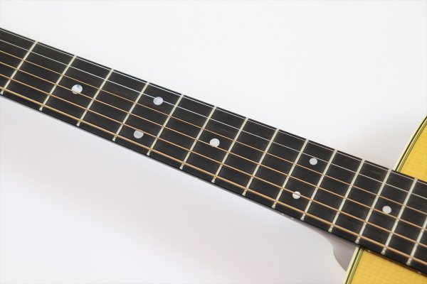 画像9: Martin　Standard Series D-28 (2025) (9)