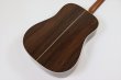 画像6: Martin　Standard Series D-28 (2025) (6)
