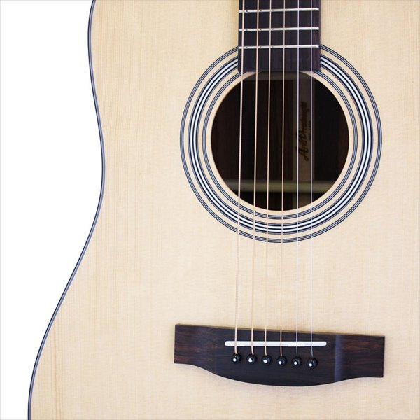 画像4: Aria Dreadnought　AD-215 N アクセサリーセット (4)