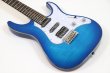 画像8: GrassRoots　G-SNAPPER-CTM See Thru Blue Sunburst (8)