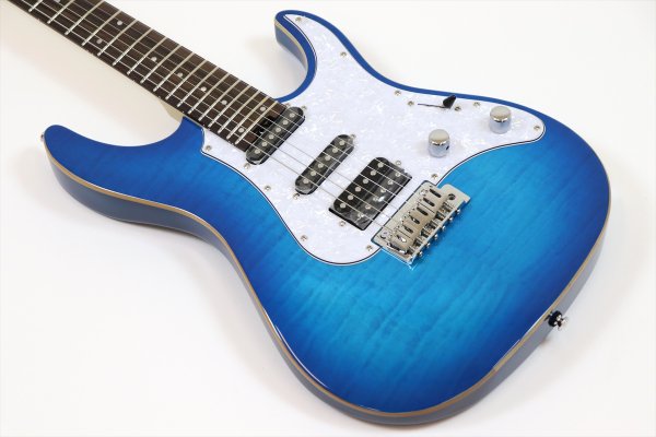 画像8: GrassRoots　G-SNAPPER-CTM See Thru Blue Sunburst (8)