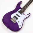 画像1: GrassRoots　G-SNAPPER-CTM See Thru Purple (1)