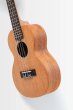 画像4: KALA　James Hill Signature Solid Top Mahogany Concert Ukulele KA-JH-MHG-C (4)