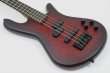 画像8: Spector　NS Pulse 4 II Black Cherry Matte 【新品アウトレット】 (8)