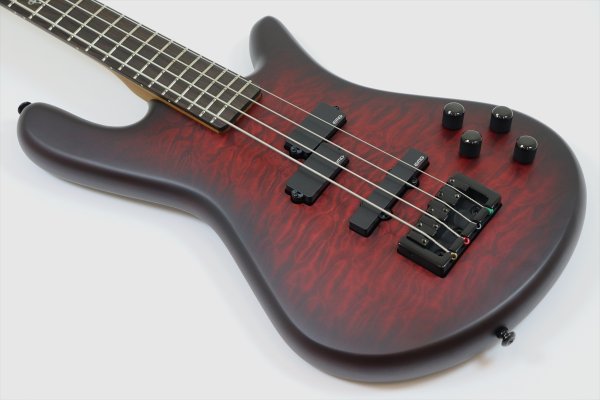 画像8: Spector　NS Pulse 4 II Black Cherry Matte 【新品アウトレット】 (8)