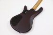 画像6: Spector　NS Pulse 4 II Black Cherry Matte 【新品アウトレット】 (6)