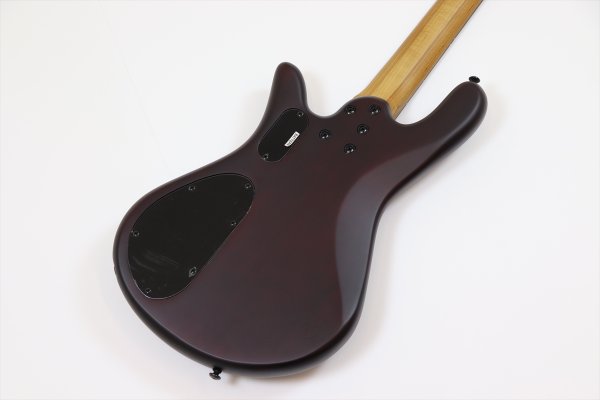 画像6: Spector　NS Pulse 4 II Black Cherry Matte 【新品アウトレット】 (6)