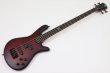 画像2: Spector　NS Pulse 4 II Black Cherry Matte 【新品アウトレット】 (2)