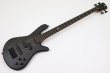 画像2: Spector　NS Pulse 4 II Black Stain Matte 【新品アウトレット】 (2)