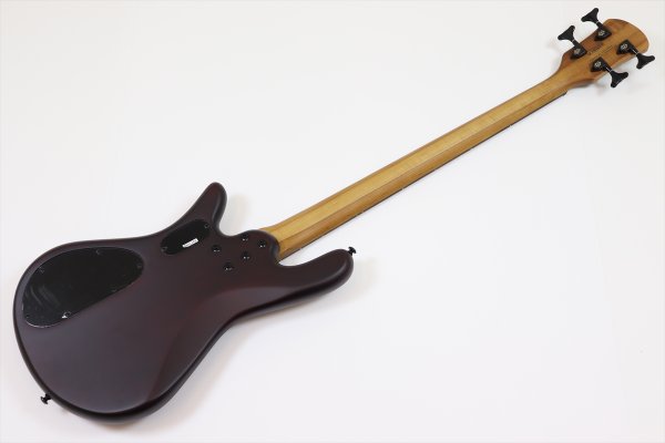 画像5: Spector　NS Pulse 4 II Black Cherry Matte 【新品アウトレット】 (5)