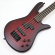 画像1: Spector　NS Pulse 4 II Black Cherry Matte 【新品アウトレット】 (1)