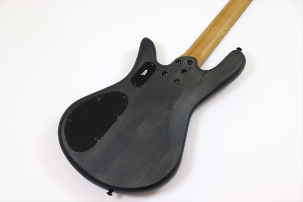 画像6: Spector　NS Pulse 4 II Black Stain Matte 【新品アウトレット】 (6)