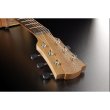 画像7: LAG Guitars　Tramontane T70TE-NAT (7)