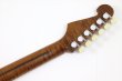 画像7: SX Guitars　STLLTD4R (7)