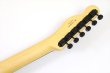 画像8: Fender　Monster Hunter Rathalos Telecaster, Rosewood Fingerboard, Rathalos Red (8)