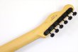 画像8: Fender　Monster Hunter Rathalos Telecaster, Rosewood Fingerboard, Rathalos Red (8)